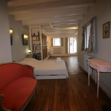 Le Palais Des Deux Sirenes דירה נאנסי